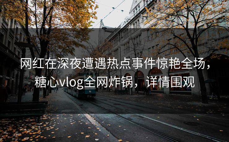 网红在深夜遭遇热点事件惊艳全场，糖心vlog全网炸锅，详情围观