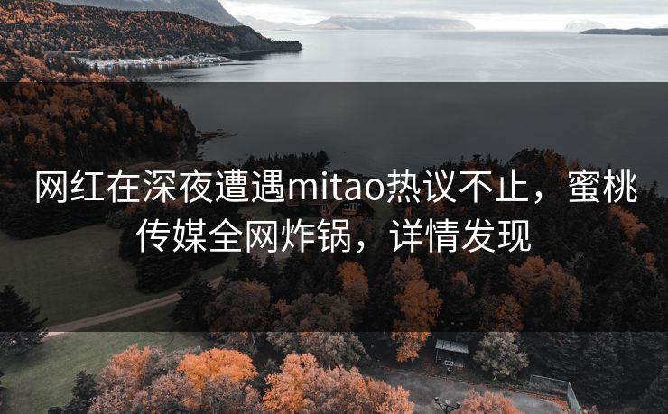网红在深夜遭遇mitao热议不止，蜜桃传媒全网炸锅，详情发现
