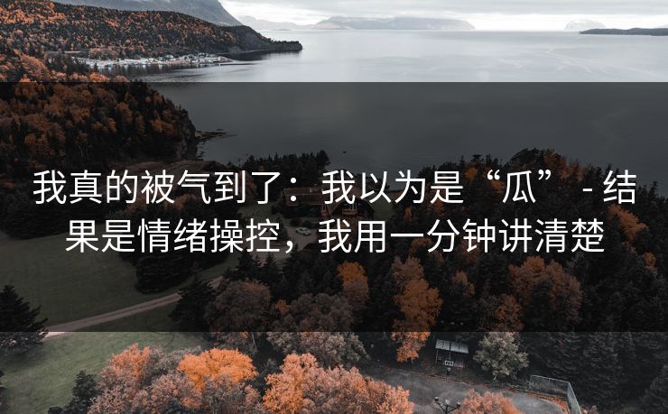 我真的被气到了:我以为是“瓜” - 结果是情绪操控,我用一分钟讲清楚 我真的被气到了:我以为是“瓜” - 结果是情绪操控,我用一分钟讲清楚